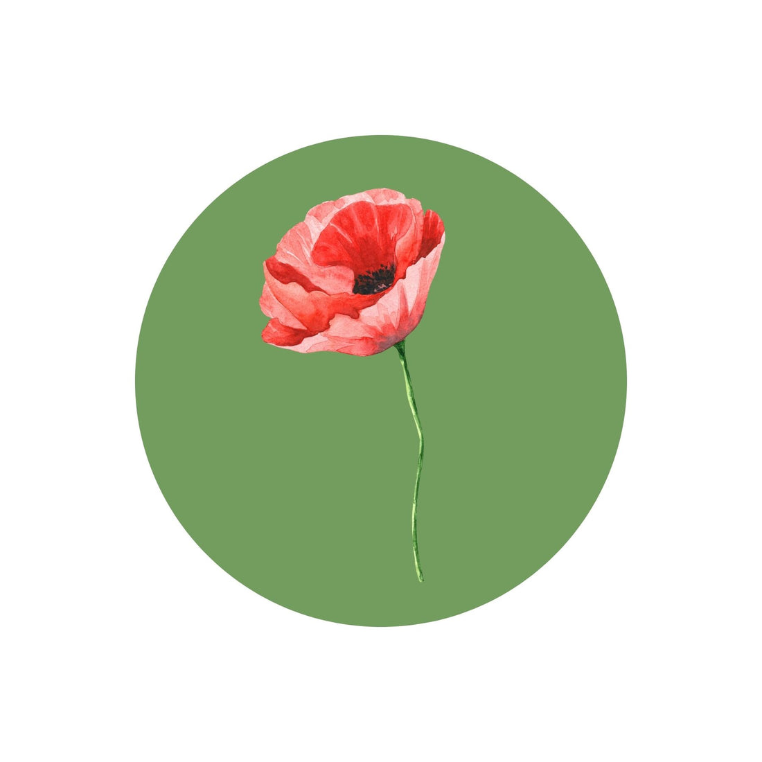 Our top five favourite wildflowers used in our memorial seed balls