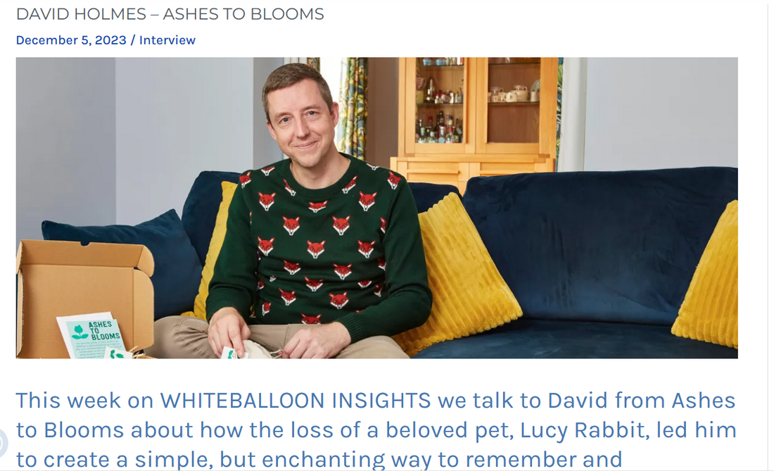 Q&A with David Holmes - White Balloon, 05/12/23