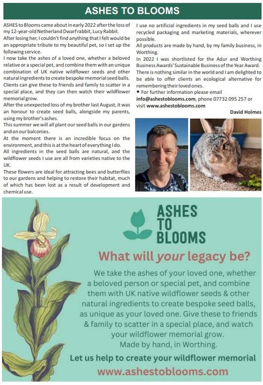 The Worthing Journal - 02/05/23