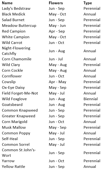 Wildflower Memorial Seed Balls - Classic Wildflower Varieties