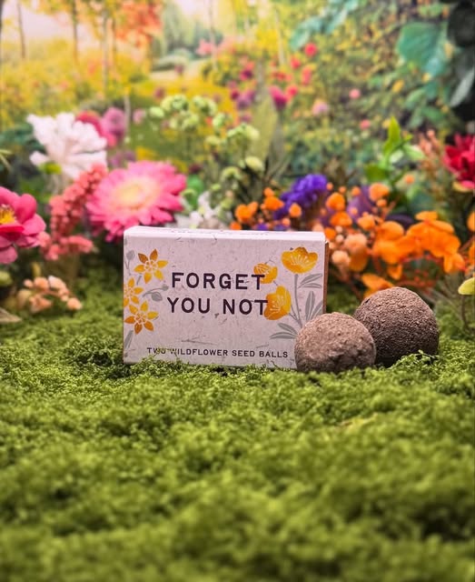 flower seed favours Sustainable Wildflower Memorial Favours (containing your loved one's ashes)