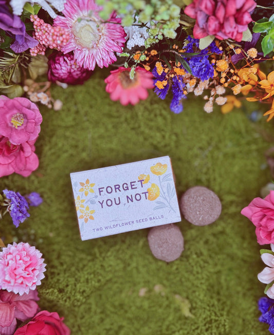 Sustainable Wildflower Memorial Favours (contain no ashes)