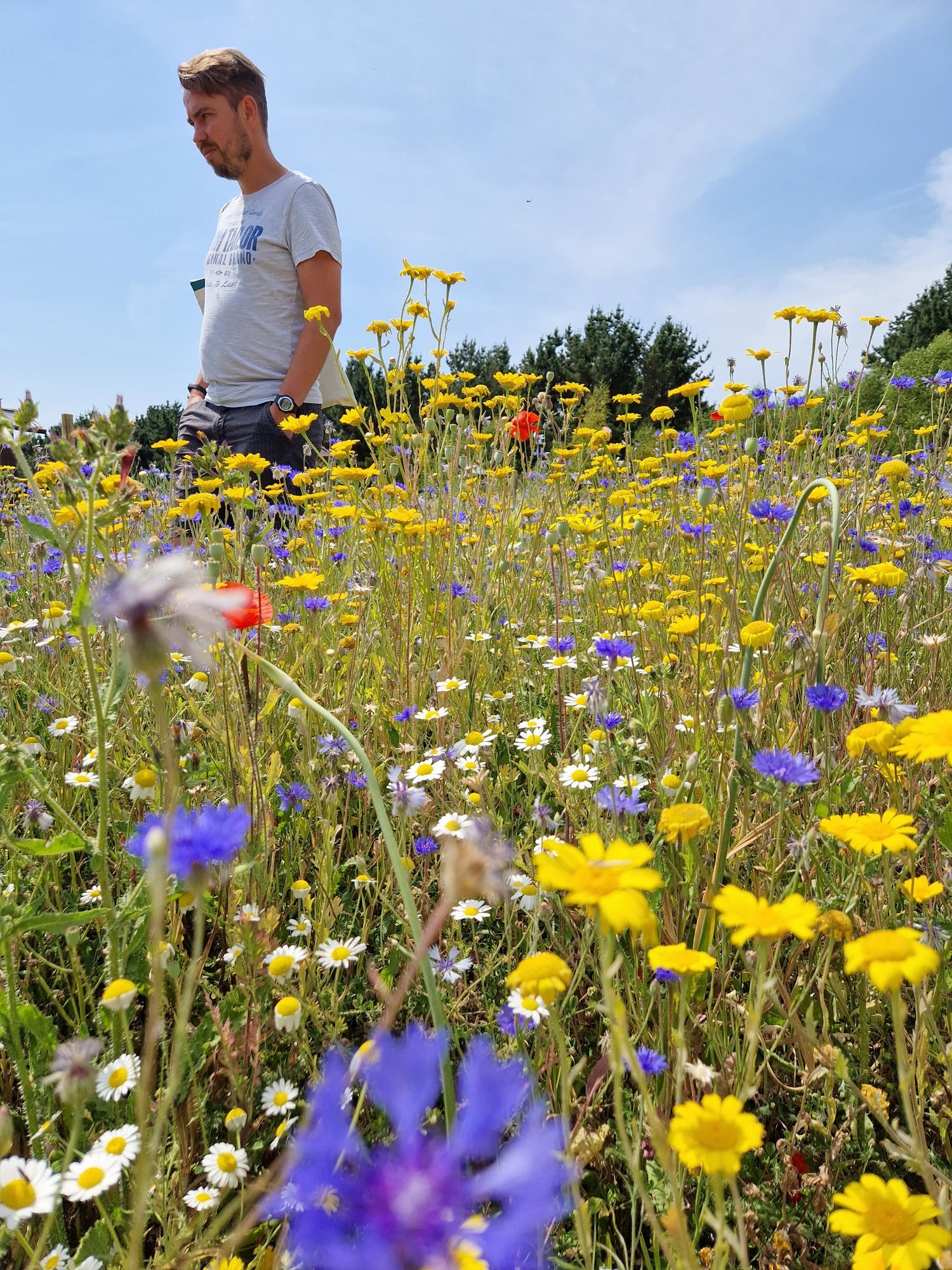 Ashes to Blooms - wildflower memorials, keepsake ashes, seedballs - man walking in flowers