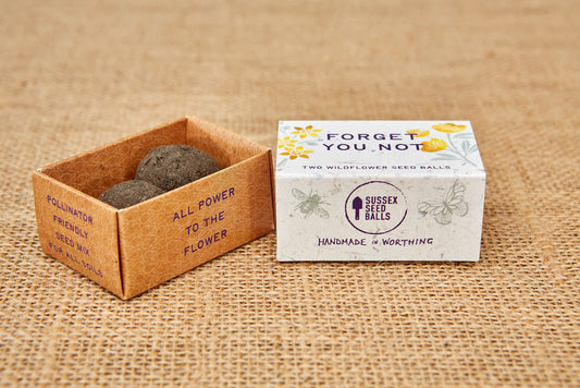 Sustainable Wildflower Memorial Favours (contain no ashes)