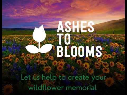 Ashes to Blooms  - wildflower memorials, keepsake ashes, seedballs